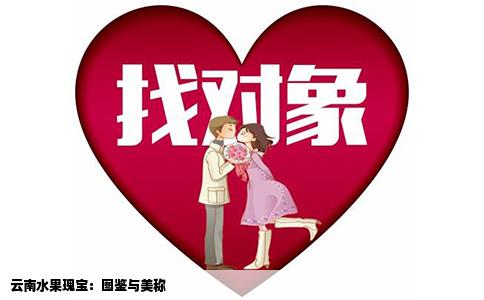 云南水果瑰寶：圖鑒與美稱