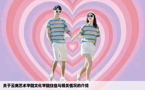 關(guān)于云南藝術(shù)學(xué)院文化學(xué)院住宿與相關(guān)情況的介紹
