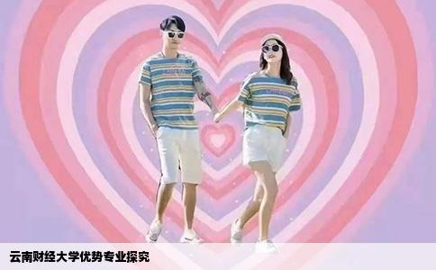 云南財經(jīng)大學優(yōu)勢專業(yè)探究