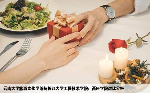 云南大學(xué)旅游文化學(xué)院與長江大學(xué)工程技術(shù)學(xué)院：兩所學(xué)院對(duì)比分析