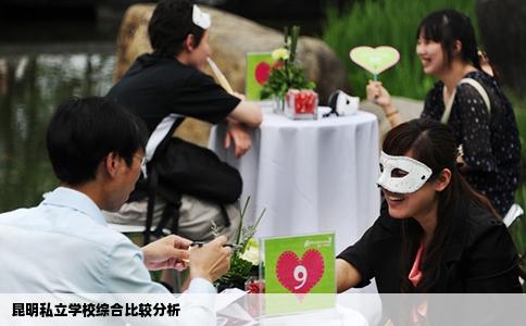 昆明私立學校綜合比較分析