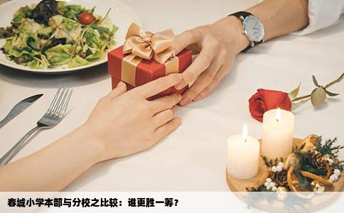春城小學(xué)本部與分校之比較：誰(shuí)更勝一籌？