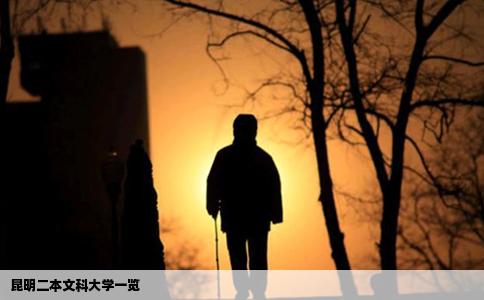昆明二本文科大學(xué)一覽