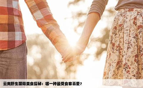 云南野生菌菇美食探秘：哪一種最受食客喜愛？