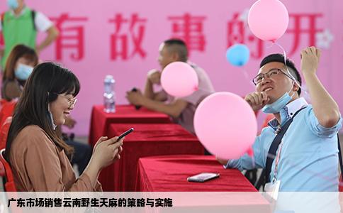 廣東市場銷售云南野生天麻的策略與實施