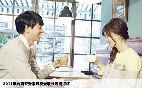 2011年云南專升本各校錄取分數(shù)線綜述