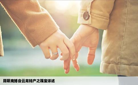 昆明南博會云龍?zhí)禺a(chǎn)之瑰寶詳述