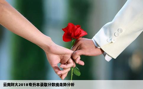 云南財(cái)大2018專升本錄取分?jǐn)?shù)線走勢(shì)分析