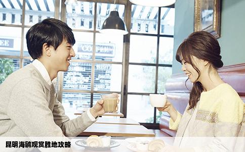 昆明海鷗觀賞勝地攻略