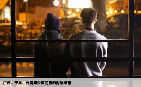 廣西、寧夏、云南與少數(shù)民族的深厚紐帶